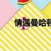 情遇曼哈頓演員表（情遇曼哈頓簡介）