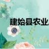 建始縣農業局（關于建始縣農業局介紹）