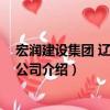 宏潤建設集團 遼寧有限公司（關于宏潤建設集團 遼寧有限公司介紹）