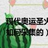 現代奧運圣火是怎么采集的（現代奧運圣火是如何采集的）