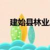 建始縣林業局（關于建始縣林業局介紹）