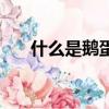 什么是鵝蛋臉（鵝蛋臉是什么樣子的）