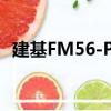 建基FM56-PA（關于建基FM56-PA介紹）