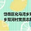 岱岳區化馬灣鄉雙河村黨員志愿服務隊（關于岱岳區化馬灣鄉雙河村黨員志愿服務隊簡介）