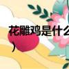 花雕雞是什么地方的菜（花雕雞屬于什么菜系）
