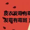 皮衣發霉有霉斑怎么處理妙招（如何解決皮衣發霉有霉斑）