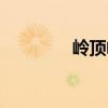 嶺頂岬（關于嶺頂岬簡介）