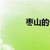 棗山的做法（棗山怎么做好吃）