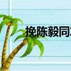 挽陳毅同志（關于挽陳毅同志簡介）