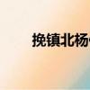 挽鎮北楊侯（關于挽鎮北楊侯簡介）