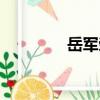 岳軍榮（關于岳軍榮簡介）