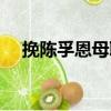 挽陳孚恩母聯（關于挽陳孚恩母聯簡介）