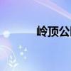 嶺頂公園（關于嶺頂公園簡介）