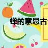 蟬的意思古詩（蟬這首詩的意思是什么）