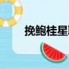 挽鮑桂星聯（關于挽鮑桂星聯簡介）