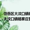 岱岳區大汶口鎮楊家莊管區王莊村志愿服務隊（關于岱岳區大汶口鎮楊家莊管區王莊村志愿服務隊簡介）