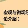 宏觀與微觀經濟理論（關于宏觀與微觀經濟理論介紹）