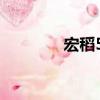 宏稻58（關于宏稻58介紹）