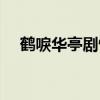 鶴唳華亭劇情介紹（鶴唳華亭劇情簡介）