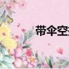 帶傘空投（關于帶傘空投簡介）