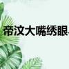 帝汶大嘴繡眼鳥（關于帝汶大嘴繡眼鳥簡介）