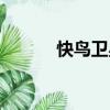 快鳥衛星（關于快鳥衛星介紹）