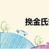 挽金氏婦（關于挽金氏婦簡介）