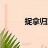 捉拿歸案（關于捉拿歸案簡介）