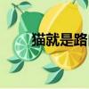 貓就是路由器嗎（這里有詳細說明）