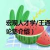 宏觀人才學/王通訊人才論集（關于宏觀人才學/王通訊人才論集介紹）