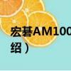 宏碁AM1000-10（關于宏碁AM1000-10介紹）