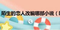 陌生的戀人改編哪部小說(陌生的戀人簡介)