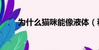 為什么貓咪能像液體(和骨骼有關)