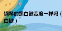鋼琴的黑白鍵寬度一樣嗎(鋼琴鍵盤有多少個白鍵)