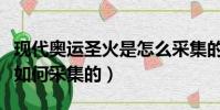 現代奧運圣火是怎么采集的(現代奧運圣火是如何采集的)