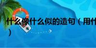 什么像什么似的造句(用什么像什么似的造句)