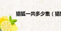 獵狐一共多少集(獵狐誰主演)