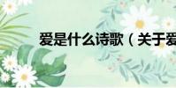 愛是什么詩歌(關于愛情的古詩)