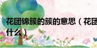 花團錦簇的簇的意思(花團錦簇的簇的意思是什么)