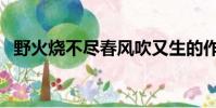 野火燒不盡春風吹又生的作者(了解一下)