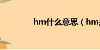 hm什么意思(hm是什么)