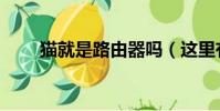 貓就是路由器嗎(這里有詳細說明)