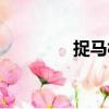 捉馬村（關于捉馬村簡介）