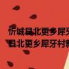忻城縣北更鄉犀牙村新時代文明實踐志愿服務隊（關于忻城縣北更鄉犀牙村新時代文明實踐志愿服務隊介紹）
