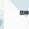 岳帥凱（關于岳帥凱簡介）