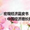 宏觀經濟藍皮書：中國經濟增長報告（關于宏觀經濟藍皮書：中國經濟增長報告介紹）