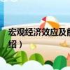 宏觀經濟效應及前景分析（關于宏觀經濟效應及前景分析介紹）