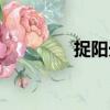捉陽光（關于捉陽光簡介）
