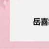 岳喜制（關于岳喜制簡介）
