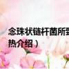 念珠狀鏈桿菌所致的鼠咬熱（關于念珠狀鏈桿菌所致的鼠咬熱介紹）